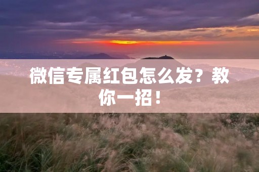 微信专属红包怎么发？教你一招！