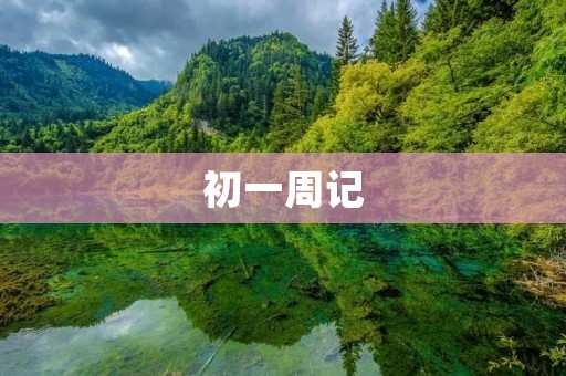 初一周记：我的新校园生活