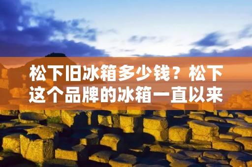 松下旧冰箱多少钱？松下这个品牌的冰箱一直以来都备受消费者的喜爱，而随着科技的不断进步，新款的松下冰箱不断推陈出新，让人们不禁想知道旧款松下冰箱的价格是多少。那么，下面就来详细了解一下松下旧冰箱的价格以及一些购买注意事项。