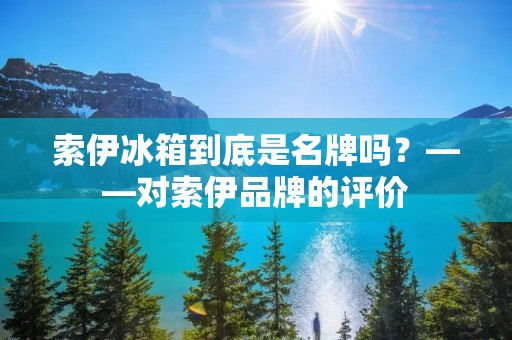 索伊冰箱到底是名牌吗？——对索伊品牌的评价