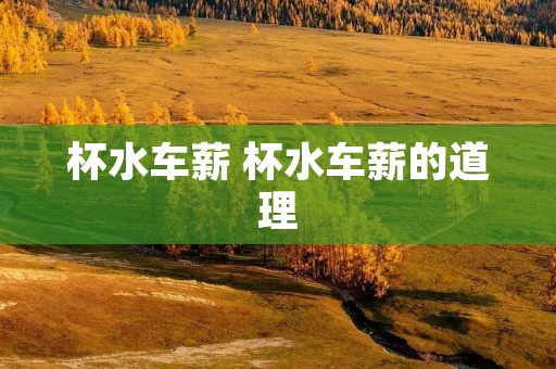 杯水车薪 杯水车薪的道理