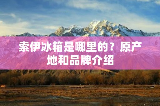索伊冰箱是哪里的？原产地和品牌介绍