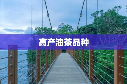 高产油茶品种:从选育到应用