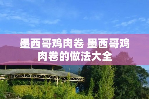 墨西哥鸡肉卷 墨西哥鸡肉卷的做法大全