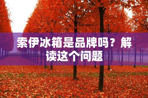 索伊冰箱是品牌吗？解读这个问题