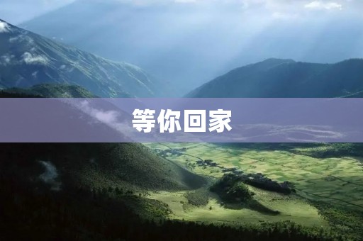 等你回家：远方的思念与归途的欢喜