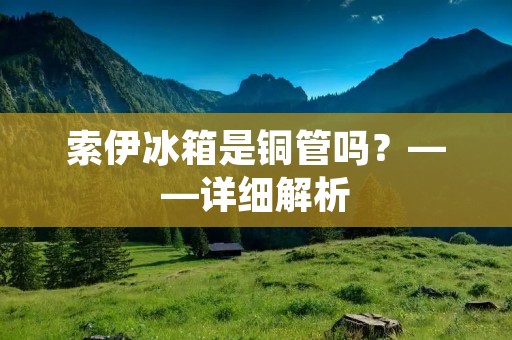 索伊冰箱是铜管吗？——详细解析