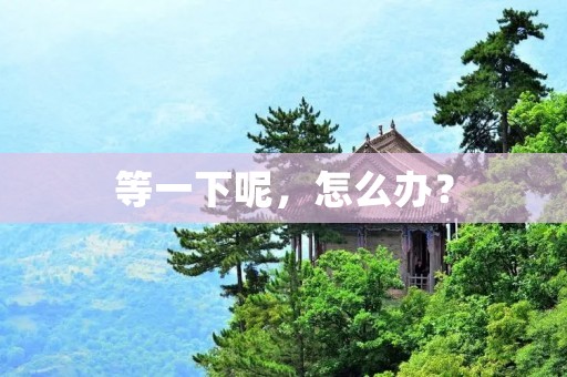 等一下呢，怎么办？