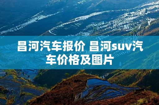 昌河汽车报价 昌河suv汽车价格及图片