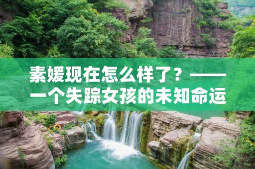 素媛现在怎么样了？——一个失踪女孩的未知命运