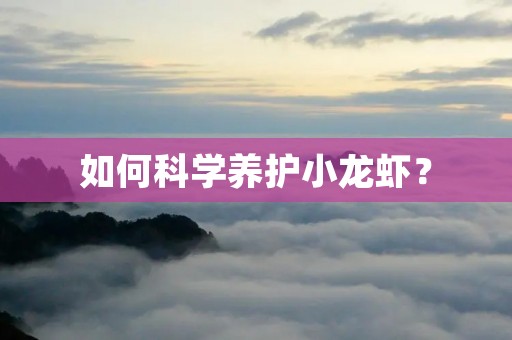 如何科学养护小龙虾？