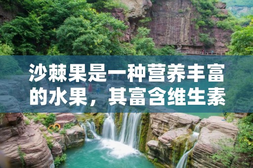 沙棘果是一种营养丰富的水果,其富含维生素C、维生素E、胡萝卜素等多种营养成分,具有抗氧化、促进免疫力、降血压、调节血脂等多种保健功效。沙棘果的味道酸甜可口,适合制作各种美食。下面我们来介绍一些沙棘的做法。 沙棘果是一种营养丰富的水果,其富含维生素C、维生素E、胡萝卜素等多种营养成分,具有抗氧化、促进免疫力、降血压、调节血脂等多种保健功效。沙棘果的味道酸甜可口,适合制作各种美食。下面我们来介绍一些沙棘的做法。