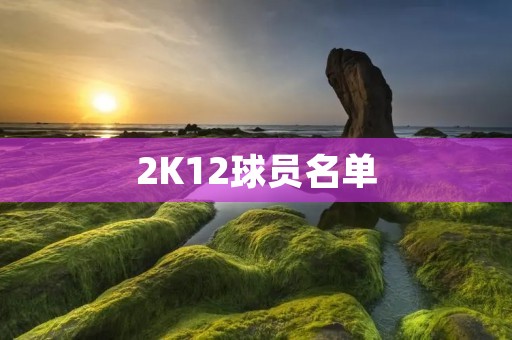 2K12球员名单:NBA历史上最强大阵容 2K12球员名单:NBA历史上最强大阵容