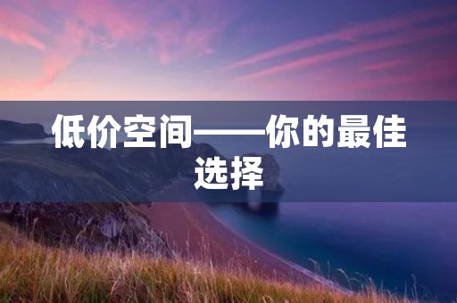 低价空间——你的最佳选择 低价空间——你的最佳选择