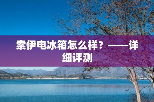 索伊电冰箱怎么样？——详细评测