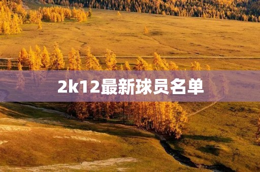 2k12最新球员名单：NBA球员阵容大变动