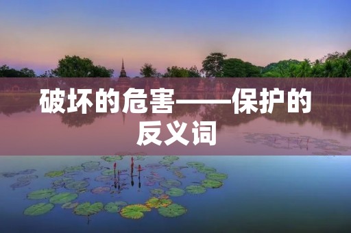 破坏的危害——保护的反义词