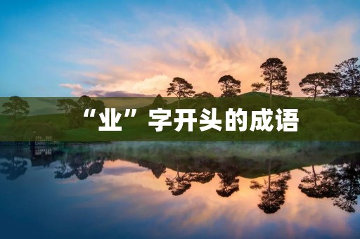 “业”字开头的成语
