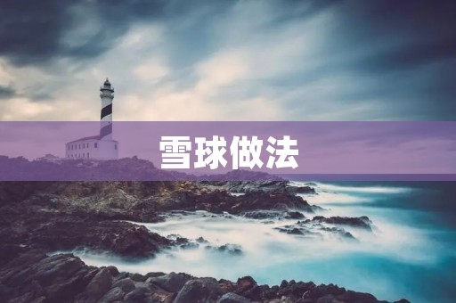 雪球做法：让你的财富一步步滚雪球般增长