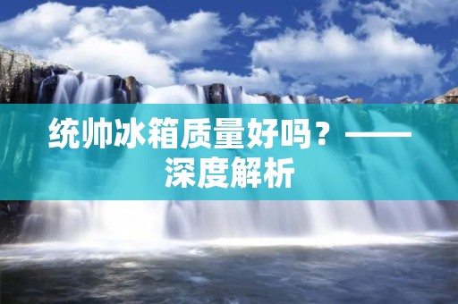 统帅冰箱质量好吗？——深度解析