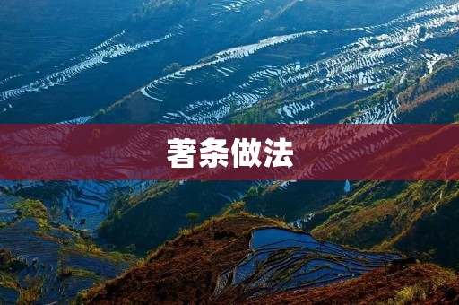 著条做法:一种简单高效的写作技巧 著条做法:一种简单高效的写作技巧