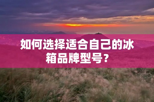 如何选择适合自己的冰箱品牌型号？