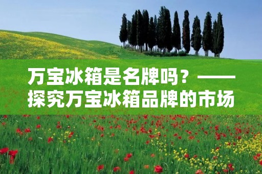 万宝冰箱是名牌吗？——探究万宝冰箱品牌的市场地位