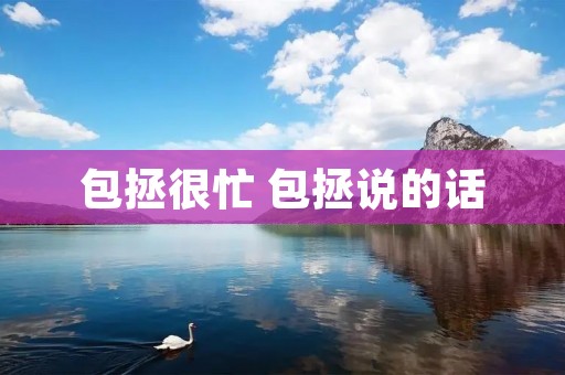 包拯很忙 包拯说的话 包拯很忙 包拯说的话