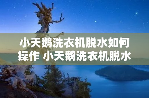 小天鹅洗衣机脱水如何操作 小天鹅洗衣机脱水如何操作视频教程