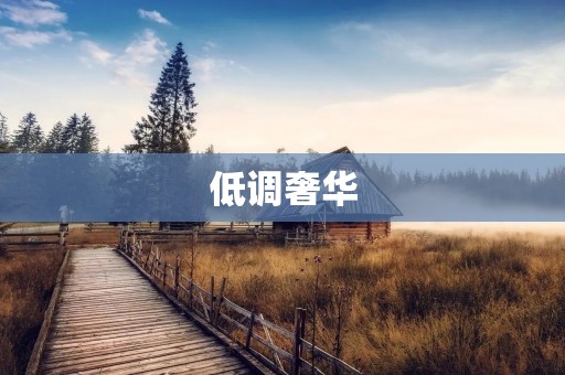 低调奢华：时尚新潮的生活方式