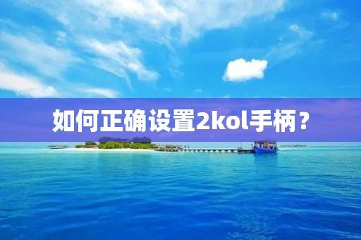 如何正确设置2kol手柄? 如何正确设置2kol手柄?