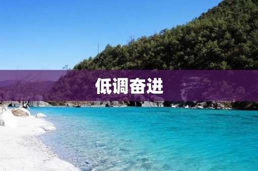 低调奋进:追求成功的正确姿态 低调奋进:追求成功的正确姿态