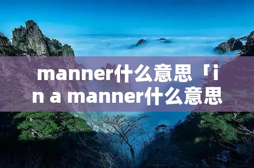 manner什么意思「in a manner什么意思」