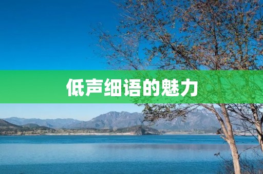 低声细语的魅力:探究温柔的力量 低声细语的魅力:探究温柔的力量