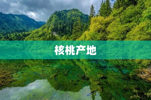 核桃产地：探寻优质核桃的故乡