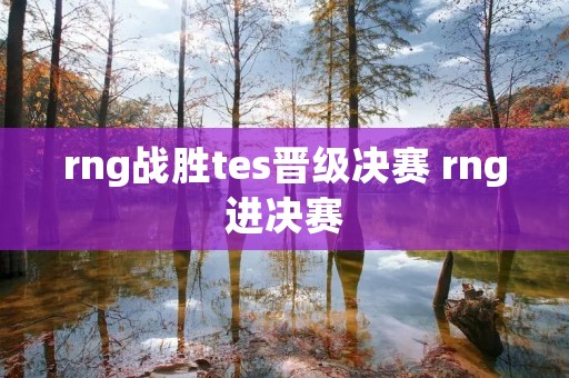 rng战胜tes晋级决赛 rng进决赛