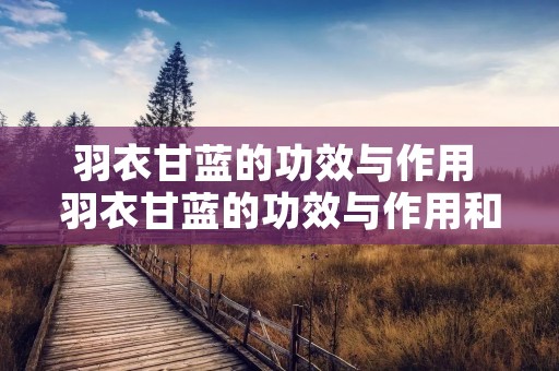 羽衣甘蓝的功效与作用 羽衣甘蓝的功效与作用和羽衣甘蓝效果一样