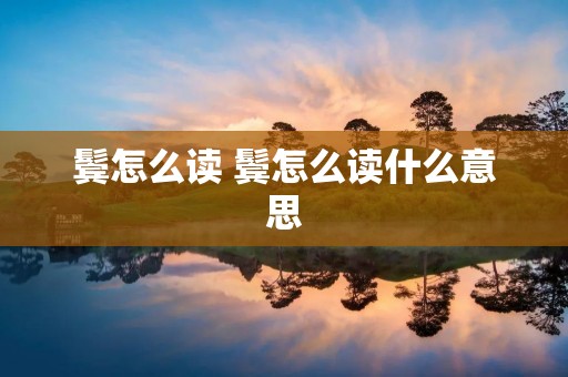 鬓怎么读 鬓怎么读什么意思 鬓怎么读 鬓怎么读什么意思