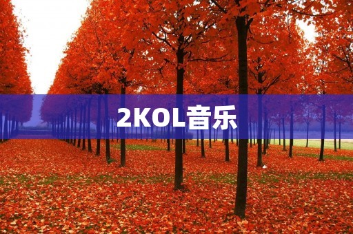 2KOL音乐：打造最具前瞻性的音乐品牌