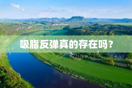 吸脂反弹真的存在吗? 吸脂反弹真的存在吗?