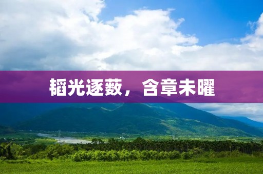 韬光逐薮,含章未曜:一个人如何在默默耕耘中实现自我价值?