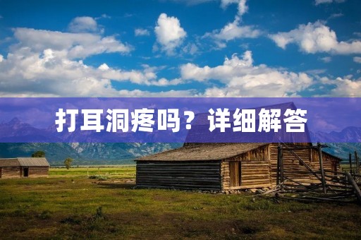 打耳洞疼吗?详细解答 打耳洞疼吗?详细解答