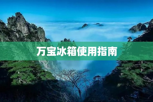 万宝冰箱使用指南：让你的冰箱更加高效