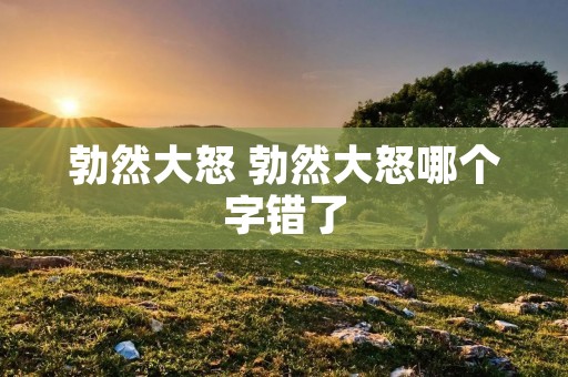 勃然大怒 勃然大怒哪个字错了