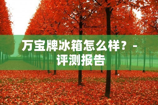 万宝牌冰箱怎么样?- 评测报告 万宝牌冰箱怎么样?- 评测报告