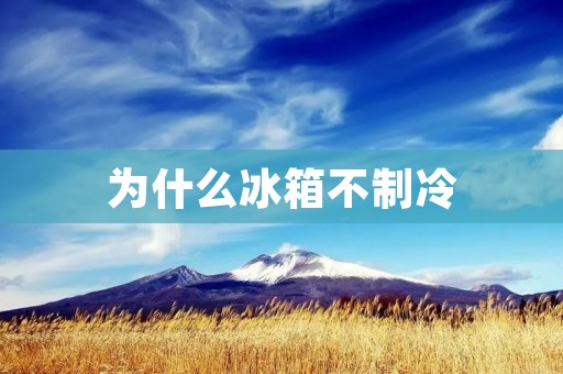 为什么冰箱不制冷