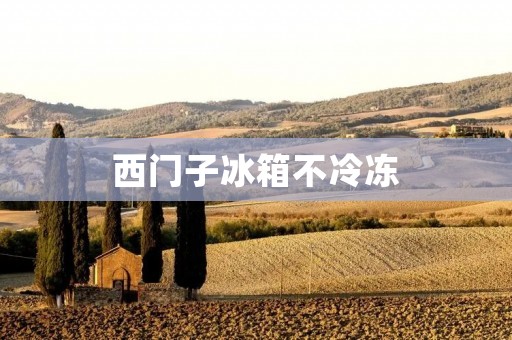 西门子冰箱不冷冻：如何解决这个问题？