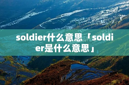 soldier什么意思「soldier是什么意思」