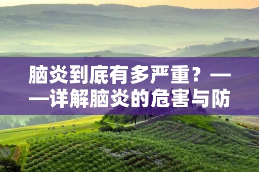 脑炎到底有多严重？——详解脑炎的危害与防治