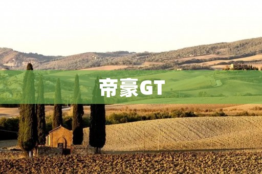 帝豪GT：性能与豪华兼备的旗舰轿车